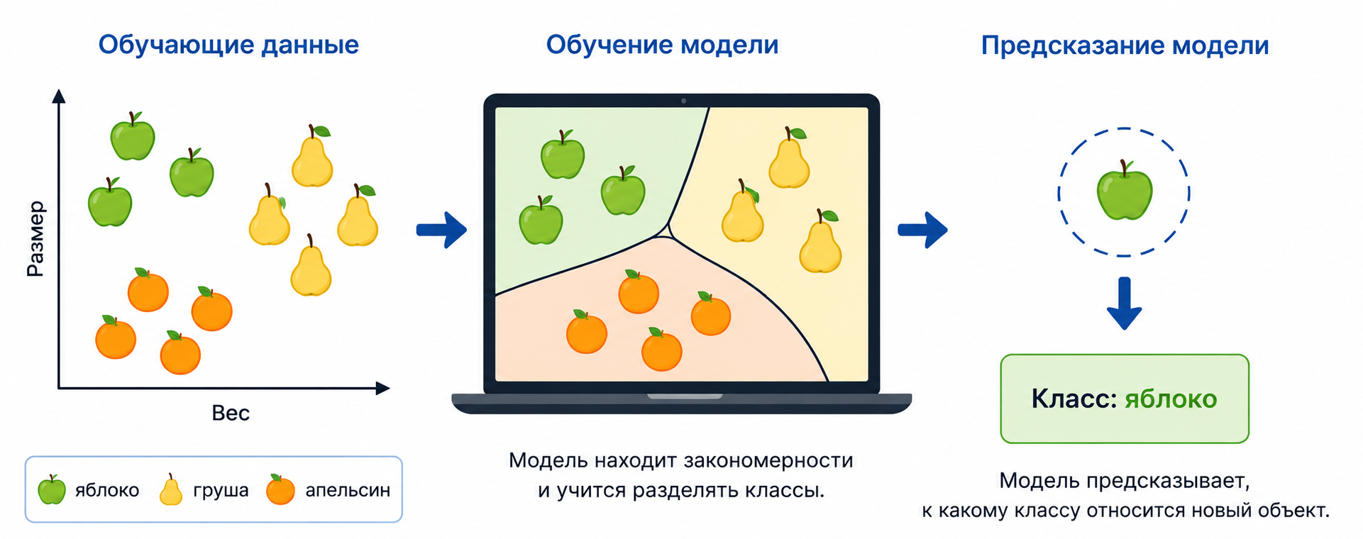 Классификация фруктов по признакам
