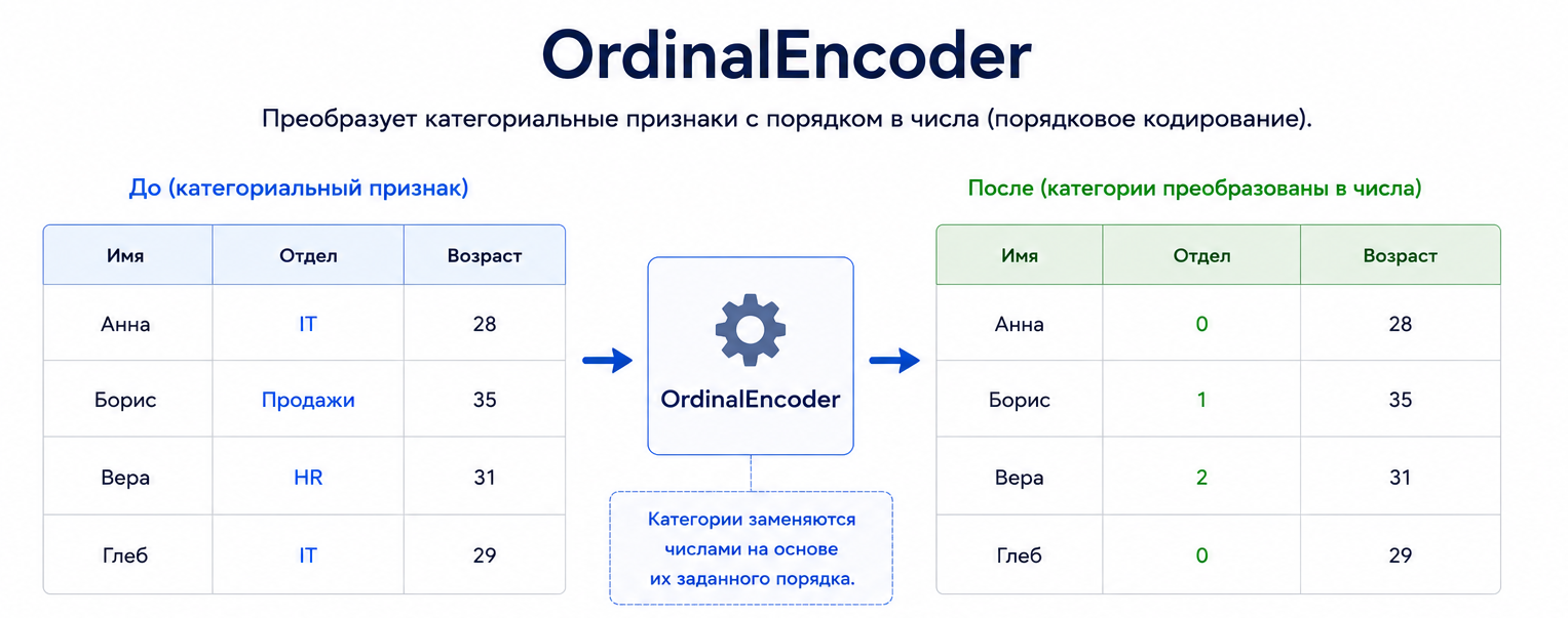 OrdinalEncoder преобразует столбец Отдел в числовые коды